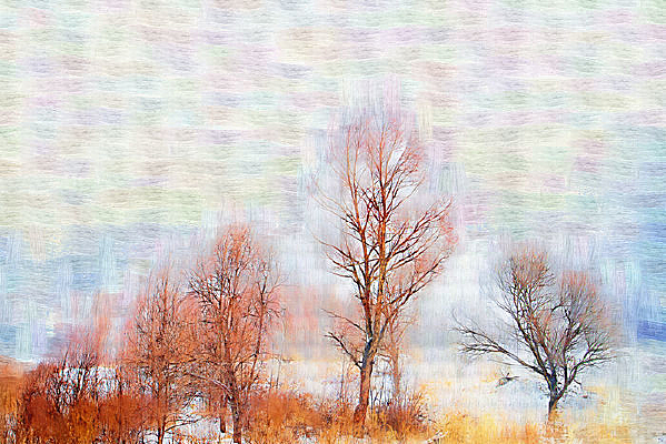 �����ͻ���ѩ�к�����