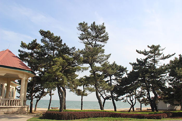 ���ߵ���ľ