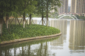 �����еĻ�����ľ