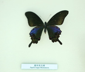 �����걾��������