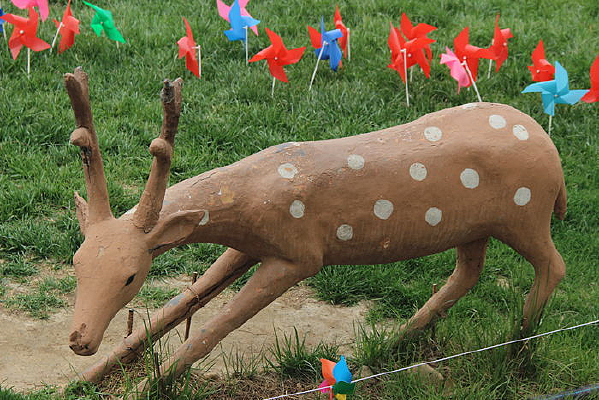 ÷��¹����