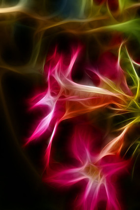 �λ�ɳĮõ�����