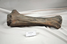 �������ֹ�