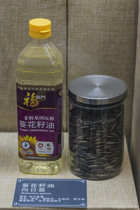 ���տ���