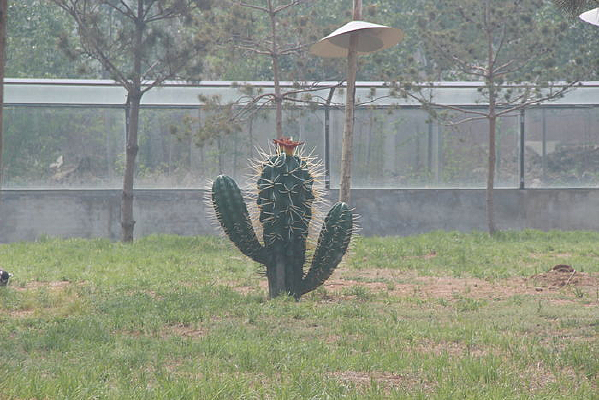 �����Ƶ���