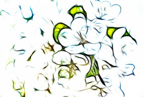 ӣ������