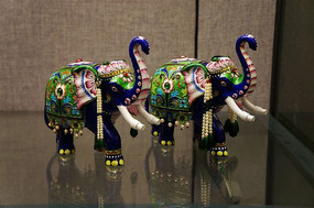 ����˿������