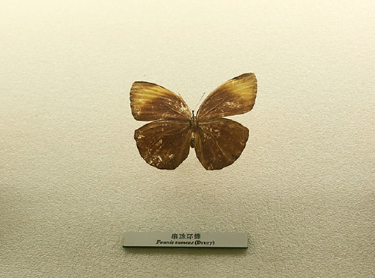 �й������걾���黷��