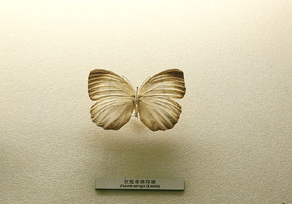 �й������걾�ҳᴮ�黷��