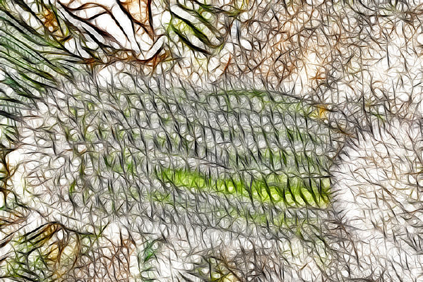 ��״������������