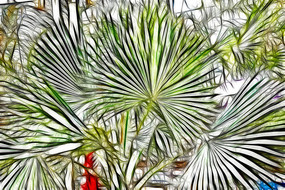 ���������