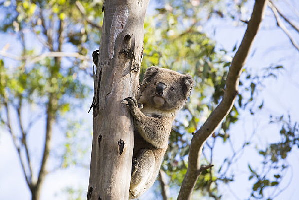 ���ϵ�������