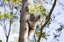 ���ϵ�������