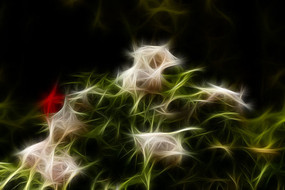 ��ɫĵ����װ�λ��޿�