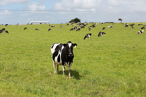 �ݵ��ϵ���ţ