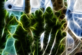 �����������Ƴ���