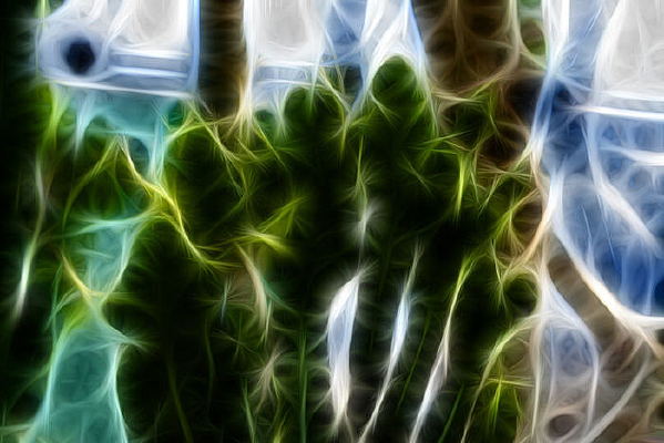 �����������Ƴ���