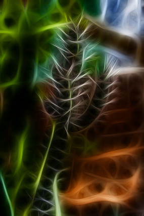 �������������޿�