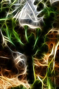 �滭������