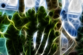 ������������������