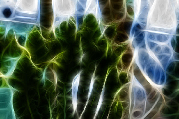 ������������������