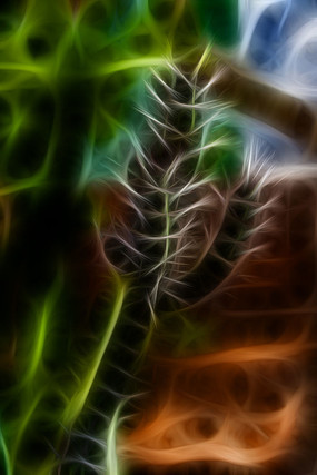 ������������װ�λ�