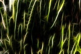 ������������װ�λ�������