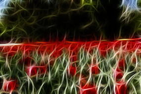 ��������������װ�λ�