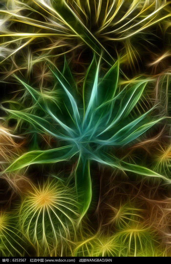 ����«��������ͼƬ