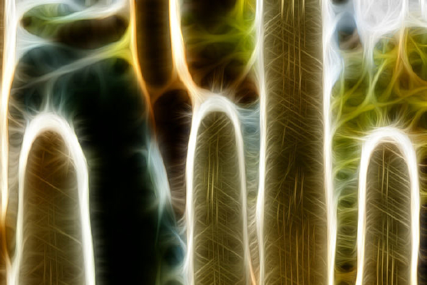 ��ѩ��������װ�λ�