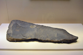 ����ͷ�Ļ�ʯܰ