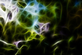 �������޿�