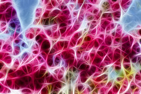 ��ɫ���Ļ�װ�λ�