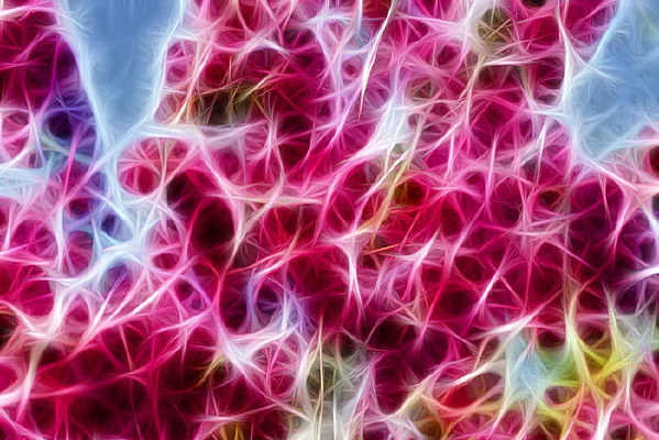 ��ɫ���Ļ�װ�λ�