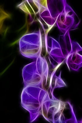 ��ɫ����������