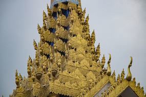 ûʵ̩ʽݶ