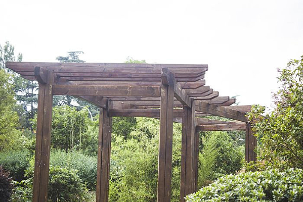 ��԰���ľ�ʻ���