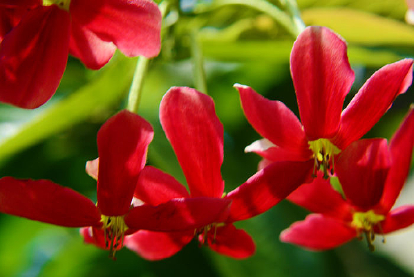 ΢�໨����Ƭ