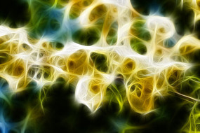 �ƴ�÷������װ�λ�