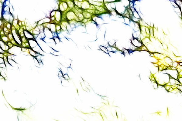 �Ͼ��޿�������