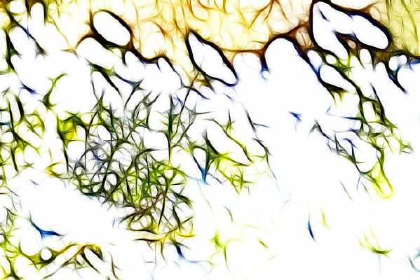 �Ͼ�������