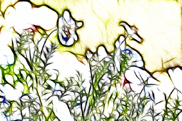 �Ͼ�װ�λ�������