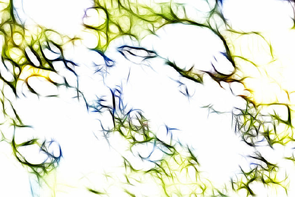 �Ͼ�װ���޿�