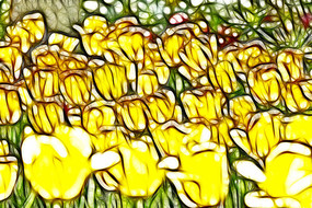 ������˹��������������