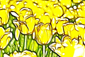 ������˹��������װ�λ��޿�