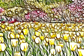 ��ɫ���������������