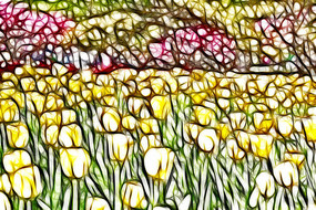 ��ɫ�������޿����