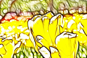 ��ɫ�������޿����������