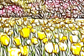 ��ɫ�������޿�