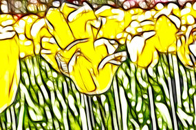 ��ɫ�������޿�